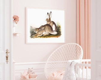 rabbit print - woodland nursery, rabbit nursery decor, bunny print, vintage nursery animal wall art, woodland prints, woodland animal art