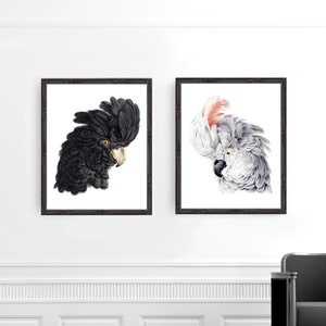 cockatoo head bird prints - vintage illustration, parrot print, Australian art, watercolor bird, tropical decor, tropical print, bird art