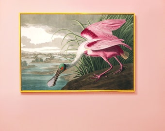 pink bird print spoonbill - tropical home decor, bird painting printed bedroom art, tropical print, vintage bird print, canvas art for home