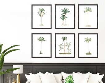 tropical palm tree prints set of prints or individual - gallery wall art, coastal art botanical poster vintage illustrations, tropical print