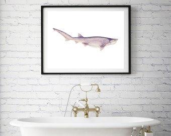 tiger shark print - bathroom wall art, nautical decor, antique illustration ocean animals print, shark poster, marine life art, beach decor