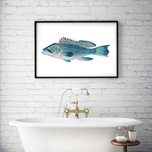 Fisch Poster - Illustration maritim, Meerestiere, Meerestiere, Meeresbewohner, Fisch Poster, Fisch Illustration, Kunstdruck