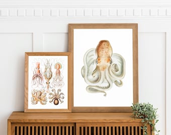 Arte de pulpos - lámina para baño, arte marino, decoración náutica, decoración de baño, lámina náutica vintage, lámina costera, arte mural submarino, arte marino