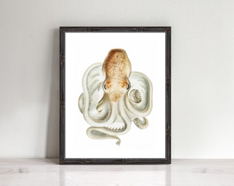 octopus art - bathroom print, ocean art, nautical decor, bathroom decor, vintage nautical print, coastal print, underwater wall art, sea art