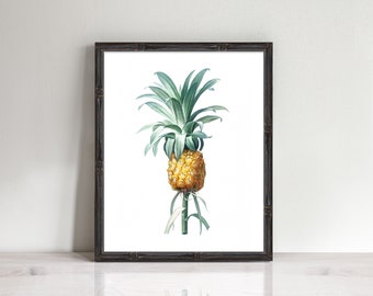 pineapple print - vintage pineapple art, botanical art print, home print, fruit art, kitchen art, tropical wall art, tropical art print