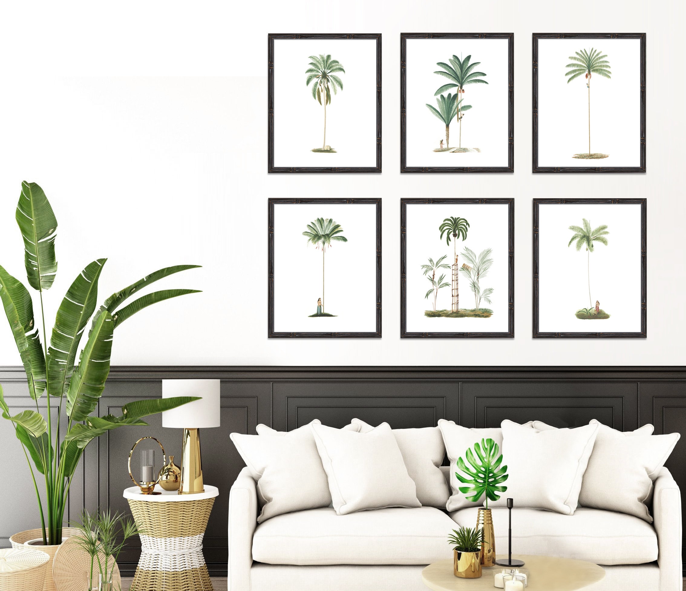 Tropical Palm Tree Prints Set of Prints or Individual Etsy Australia