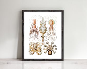 octopus print - nautical home decor, bathroom art, vintage octopus poster antique illustration ocean animals, marine art, sea life art print