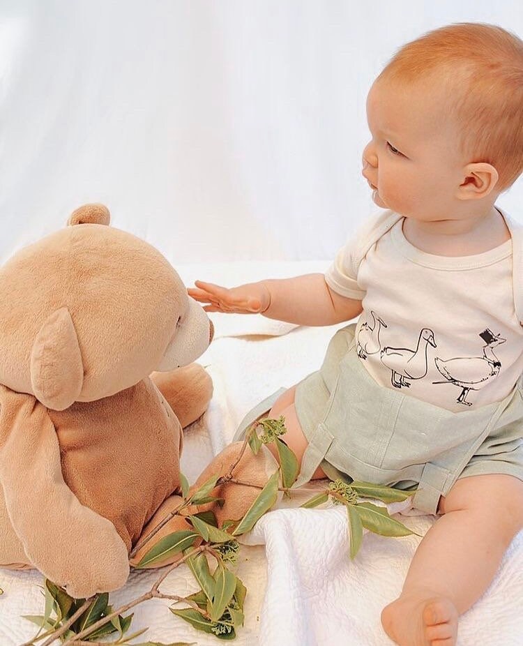 Duck Duck Goose Onesie Bodysuit Toddler Tee Baby Etsy