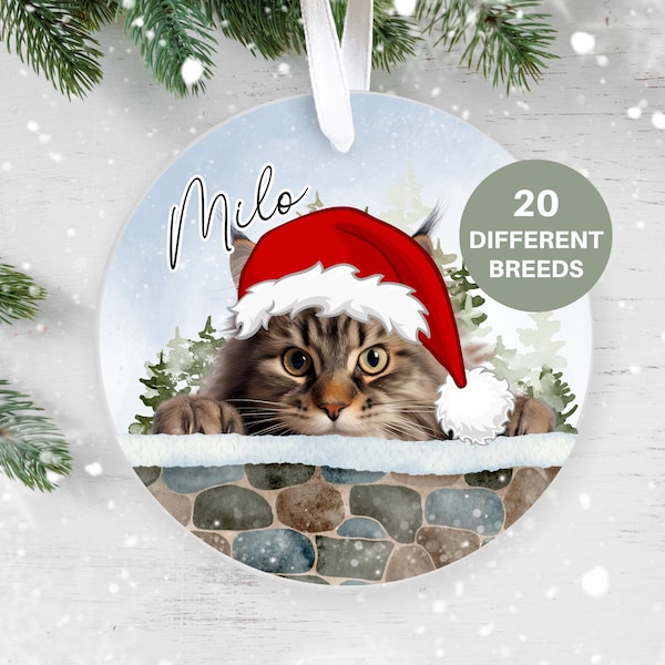 Personalised Maine Coon Cat Christmas Ornament, Christmas Tree Ornament, Custom Cat Ornament, Pet Lover, Personalized Bauble