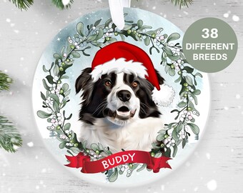 May include: A white and black dog wearing a red Santa hat with a white trim, surrounded by a green wreath with white berries. The dog's name, "BUDDY", is written on a red ribbon.