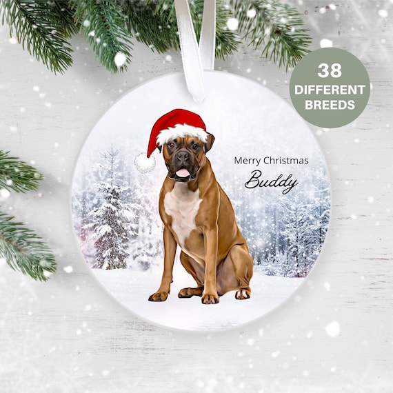 Kat Vrolijk Kerstfeest Kerst Ornamenten Grappige Kat Eigenaar Geschenken Xmas Ornament Kerstboom Decoraties Grappige Clear Ronde Acryl Ornament Hanger voor Familie Verjaardag Nieuwjaar Thuis
