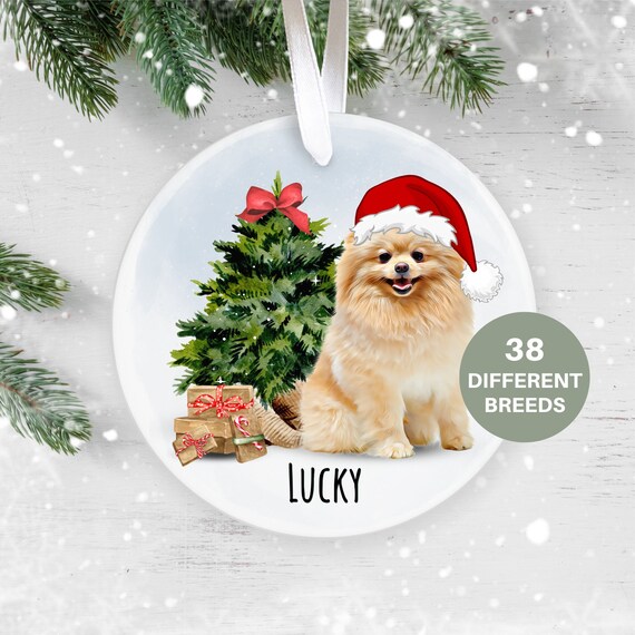 Orange Pomeranians Ornament, Personalised Christmas Ornament