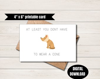 Get well card funny dog at least you don’t have to wear a cone