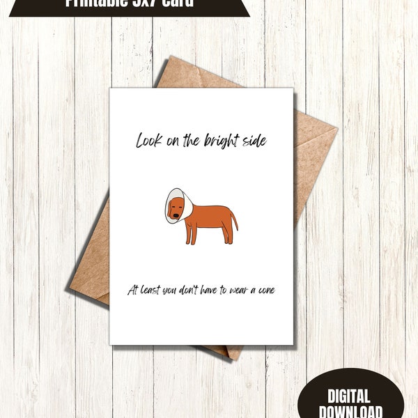 Funny get well soon card at least you don’t have to wear a cone greeting card