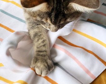 Colourful Striped Light Fleece Cat Blanket