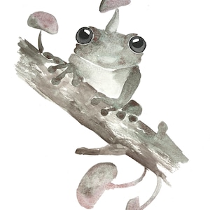 Aquarell original- Pilzfrosch- 30x21 cm