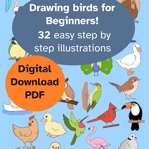 May include: A digital PDF download titled "Drawing birds for Beginners!" with 32 step-by-step illustrations of various birds, including a parrot, eagle, toucan, and flamingo, on a light blue background.