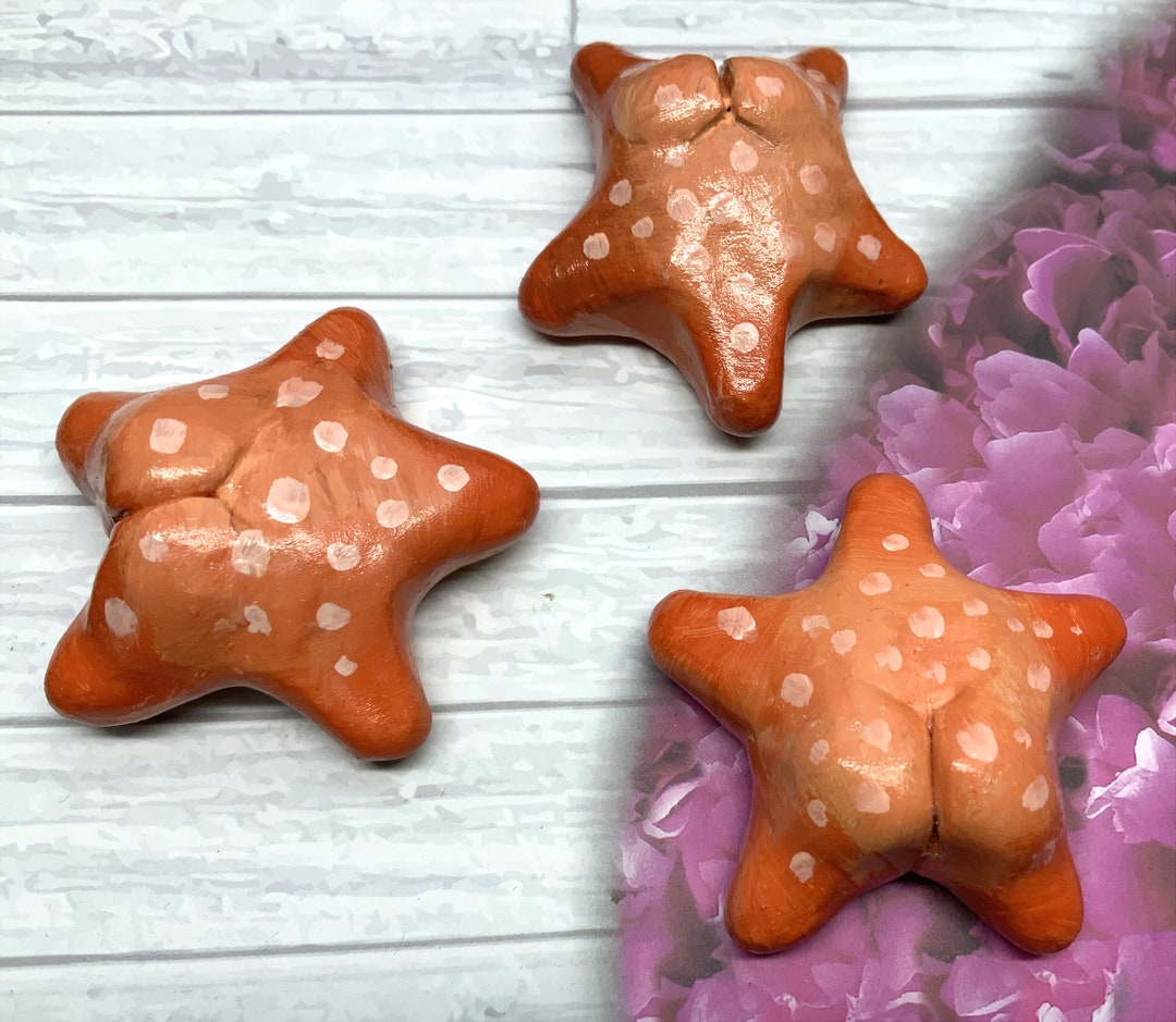 Starfish With Buttocks, Figure, Joke Gift - Etsy