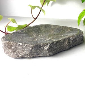 Könnte beinhalten: Ein grauer, rechteckiger Seifenschalen aus Stein mit rauer, strukturierter Oberfläche. Die Schale hat eine natürliche, organische Form und ist von grünem Laub umgeben. Diese Seifenschale ist eine einzigartige Ergänzung für jedes Badezimmer.