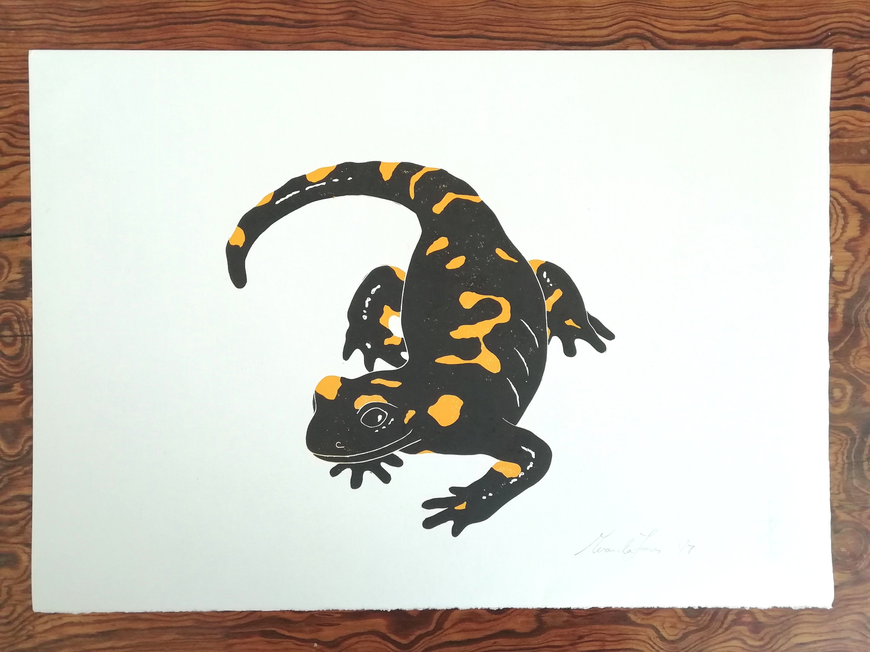 Fire salamander print  etsy Fire salamander print  etsy