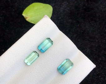 2.40ct natural bi colour tourmaline from Afghanistan