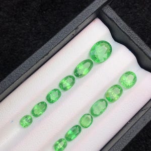 7.45ct Natural Green Tsavorite Garnet for Jewelry
