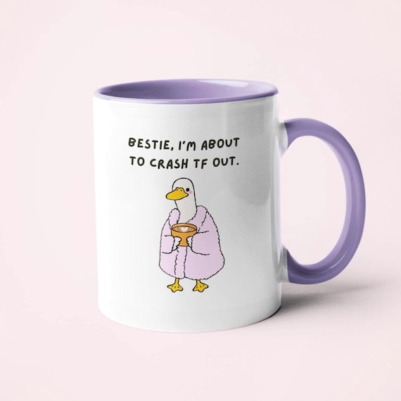 Funny Crash Out Mug, Silly Goose Mug, Funny Office Mug, Funny Quote Mug, Friendship Gift, Work Colleague Gift, Joke Secret Santa Gift