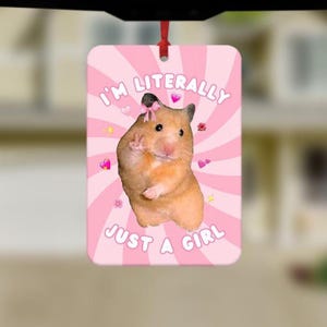 Funny Hamster Car Air Freshener, Funny Car Air Freshener, Cute Car Accessories, Funny Meme Gifts, Funny Car Gifts, Just A Girl Meme