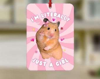 Funny Hamster Car Air Freshener, Funny Car Air Freshener, Cute Car Accessories, Funny Meme Gifts, Funny Car Gifts, Just A Girl Meme