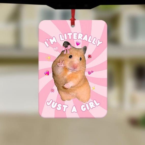 Funny Hamster Car Air Freshener, Funny Car Air Freshener, Cute Car Accessories, Funny Meme Gifts, Funny Car Gifts, Just A Girl Meme