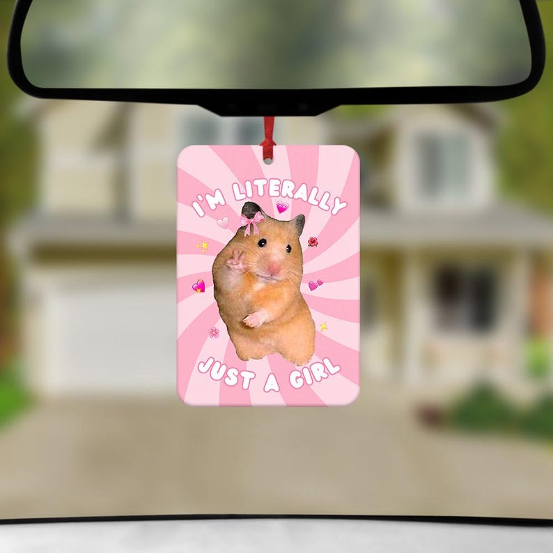Funny Hamster Car Air Freshener, Funny Car Air Freshener, Cute Car Accessories, Funny Meme Gifts, Funny Car Gifts, Just A Girl Meme image 2
