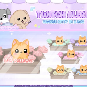Alerta ANIMADA de Kitty Twitch - Gato atigrado naranja (Total 6 alertas)