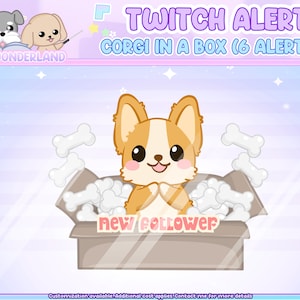 Cute animated Corgi Twitch Alerts | Stream Alert | Kawaii dog | Puppy animation