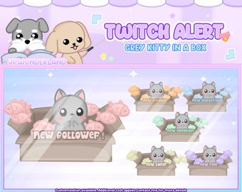 Alerta de contracción de gato gris ANIMADO / Alertas de transmisión / Animación de gatito Kawaii