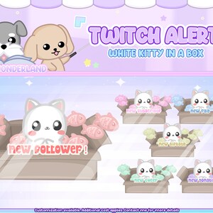 Puede incluir: Un gatito blanco se sienta en una caja marr&oacute;n con peces rosas a su alrededor. El texto "new follower!" est&aacute; en la caja. Hay cinco cajas m&aacute;s con gatitos blancos en ellas, cada una con peces de diferentes colores y texto. El texto "TWITCH ALERT WHITE KITTY IN A BOX" est&aacute; en la parte superior de la imagen.