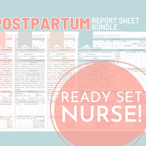Mother Baby Nurse Report Sheet Bundle, 4 Colors, Nurse Brain Sheet, RN Nursing, New Grad, Patient Assessment, Postpartum, Printable Template