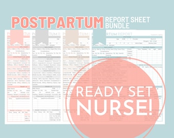 Mother Baby Nurse Report Sheet Bundle, 4 Colors, Nurse Brain Sheet, RN Nursing, New Grad, Patient Assessment, Postpartum, Printable Template