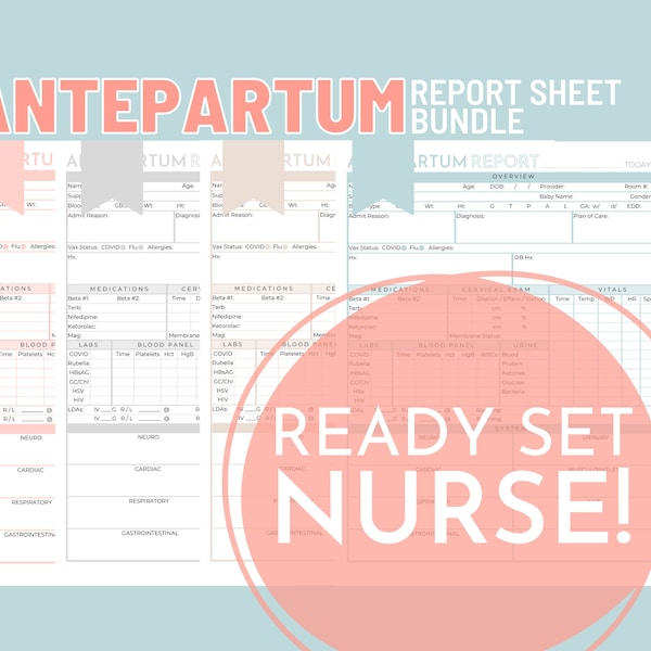 Antepartum Nurse Report Sheet Bundle, 4 Colors, Nurse Brain Sheet, RN Nursing, New Grad, Student Nurse, Antepartum, Printable Template