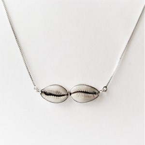 2 Set Cowrie Shells