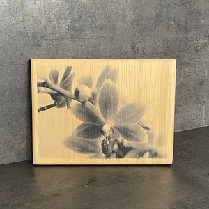 Handmade photo on wood - Orchids - Flower decoration