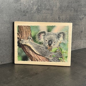 Photo on wood decoration - Koala - Deco nature