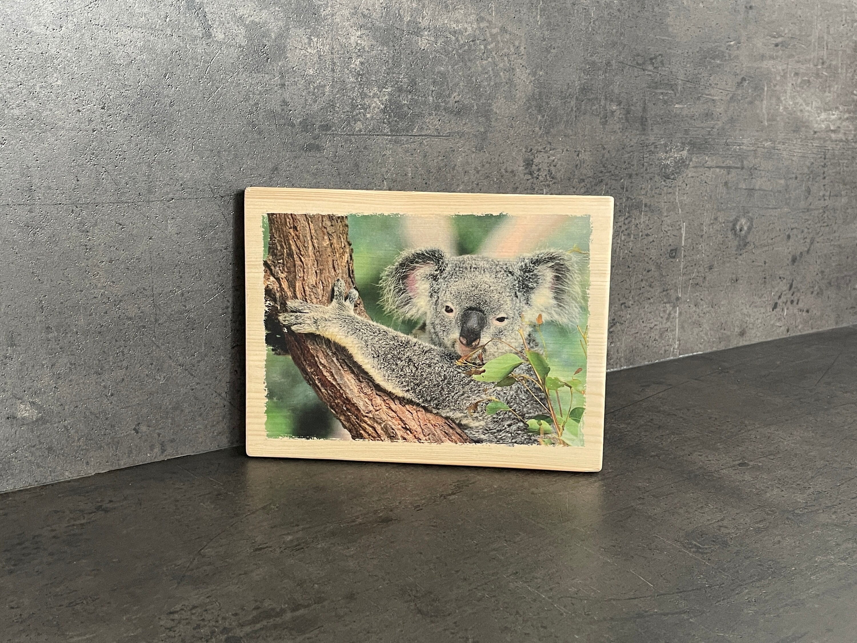Photo sur Bois Déco - Koala Déco Nature