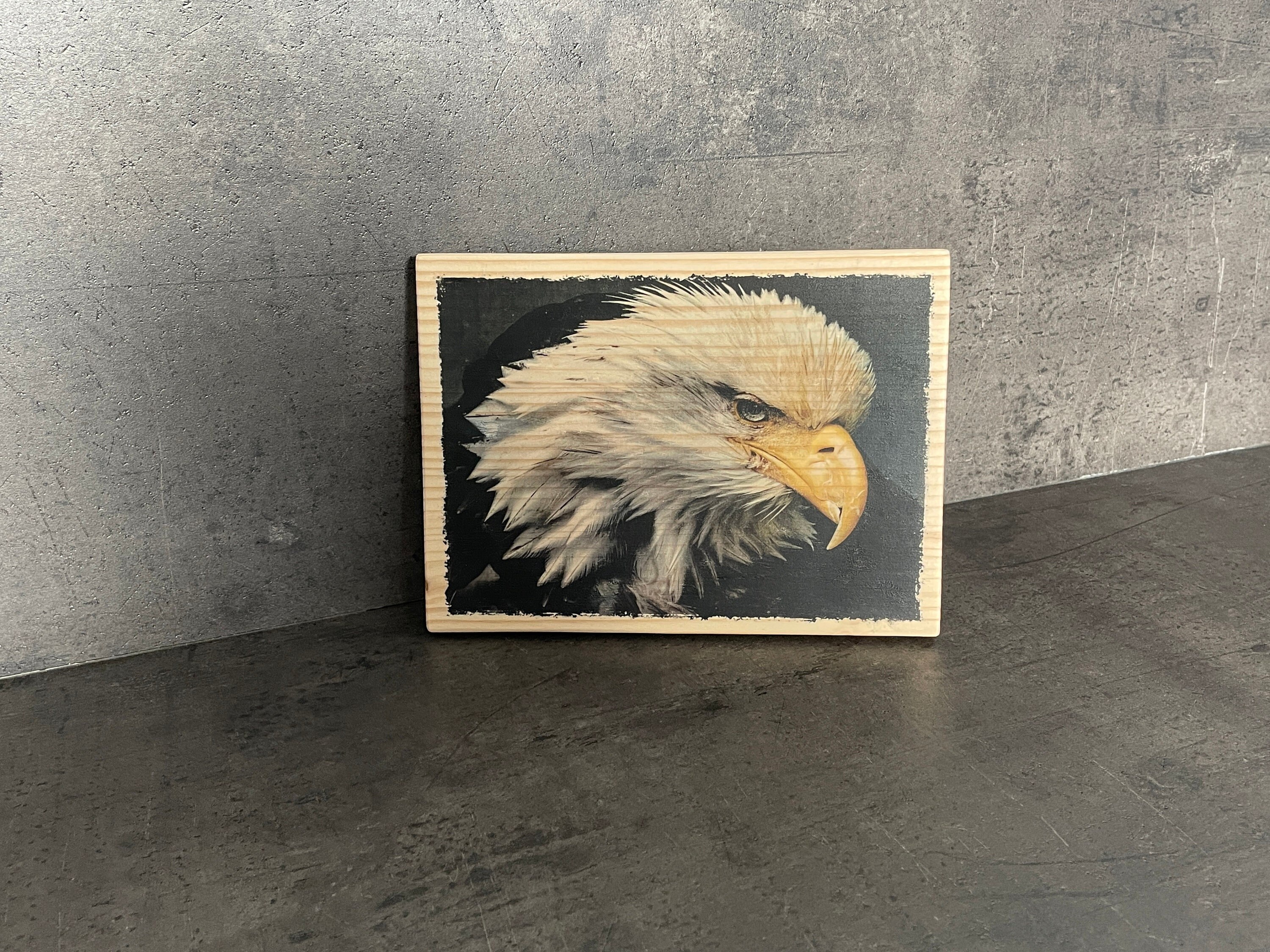 Photo sur Bois Déco - Aigle Déco Nature