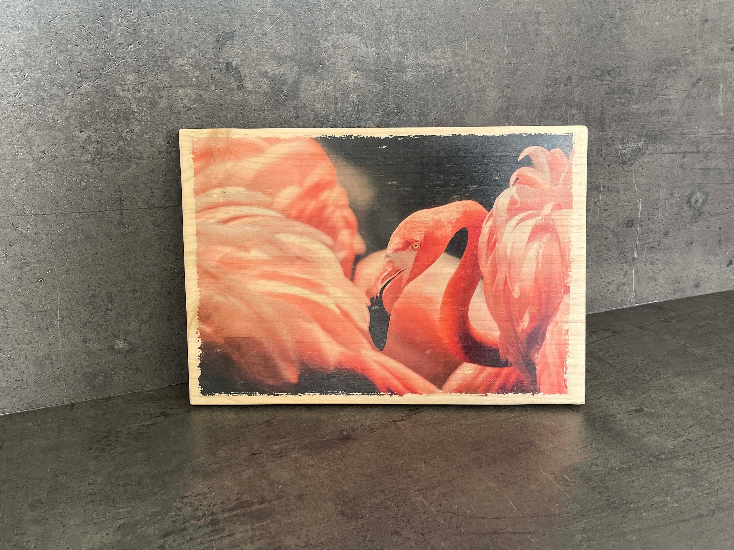 Photo sur Bois Déco - Flamant Rose Déco Camargue