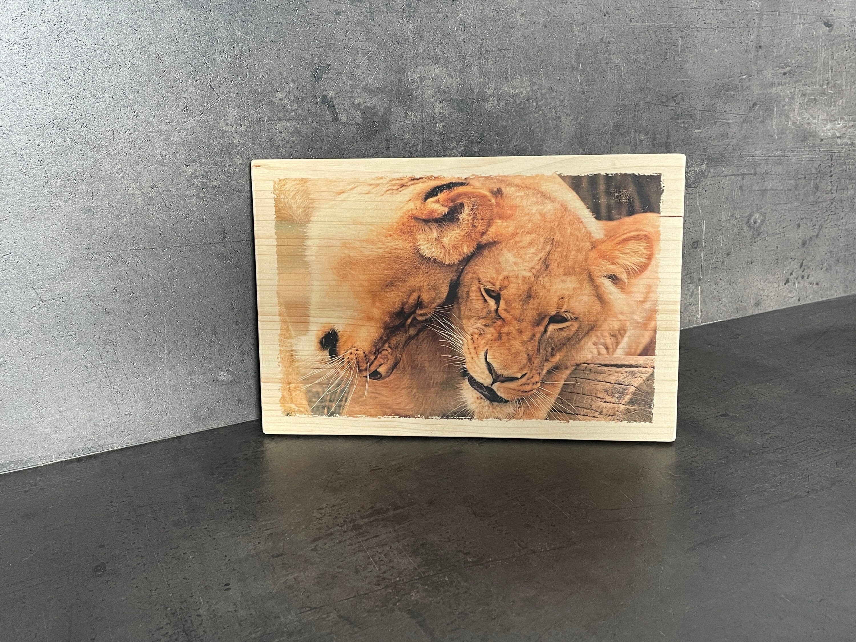 Photo sur Bois Déco - Les Lionnes Cadre Lion, Afrique Ethnique