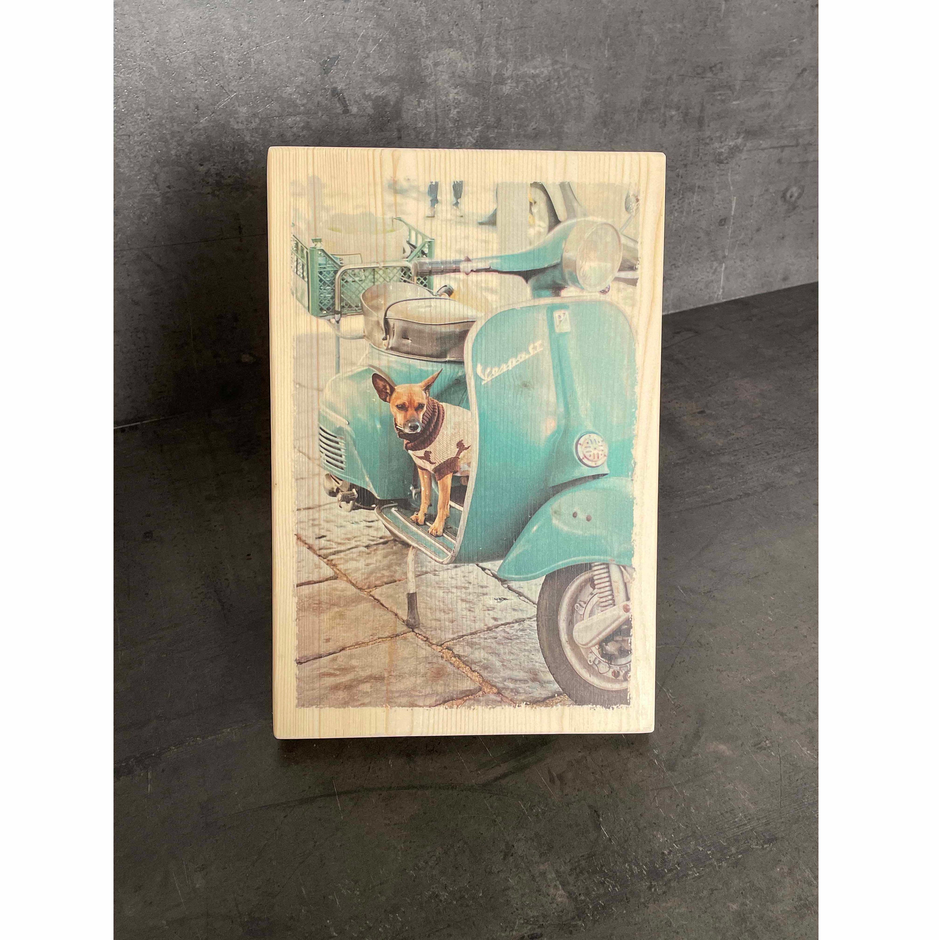 Photo sur Bois Déco - Chien Vespa Fun et Originale