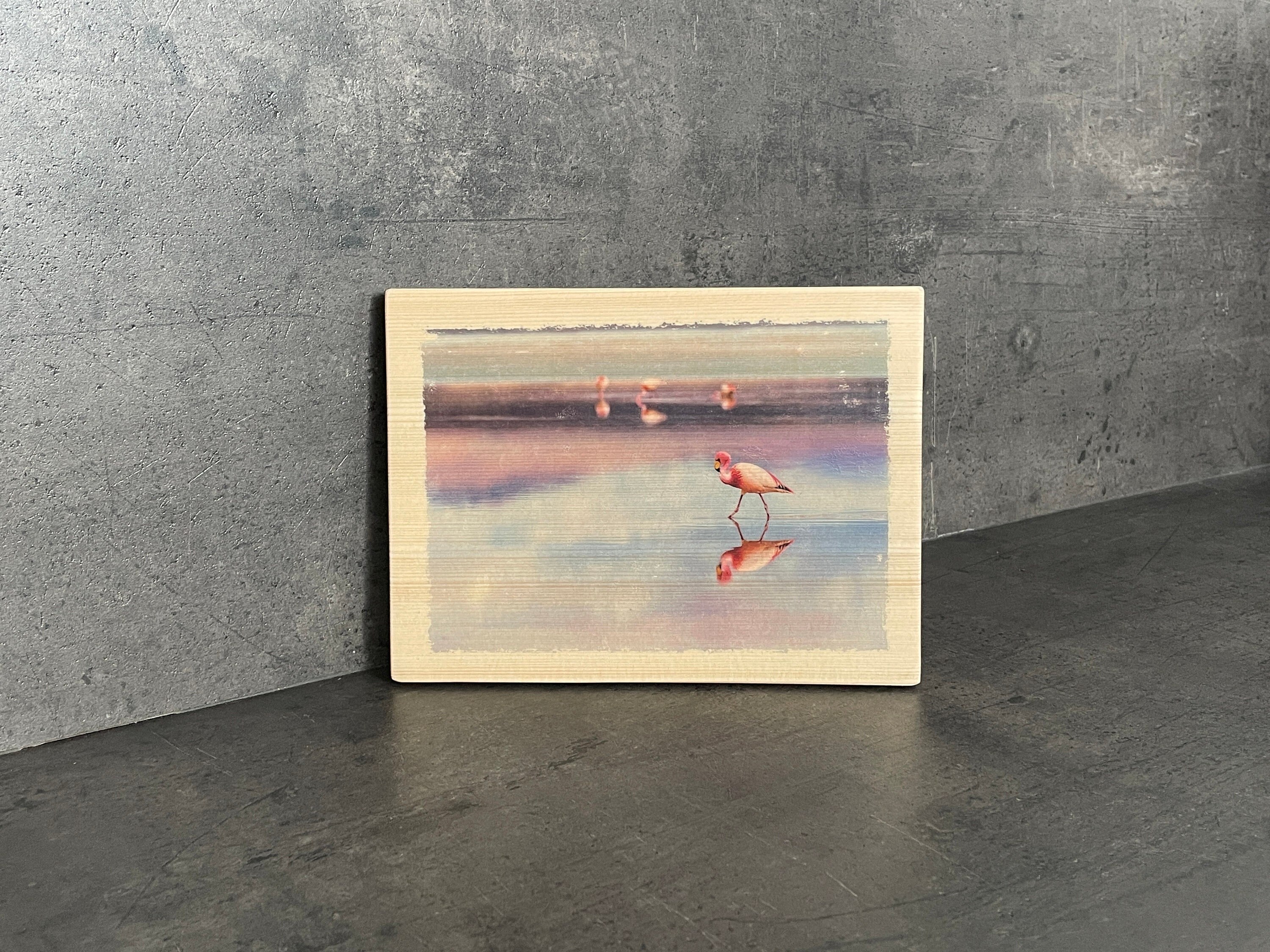 Photo sur Bois Déco - Flamant Rose Déco Nature