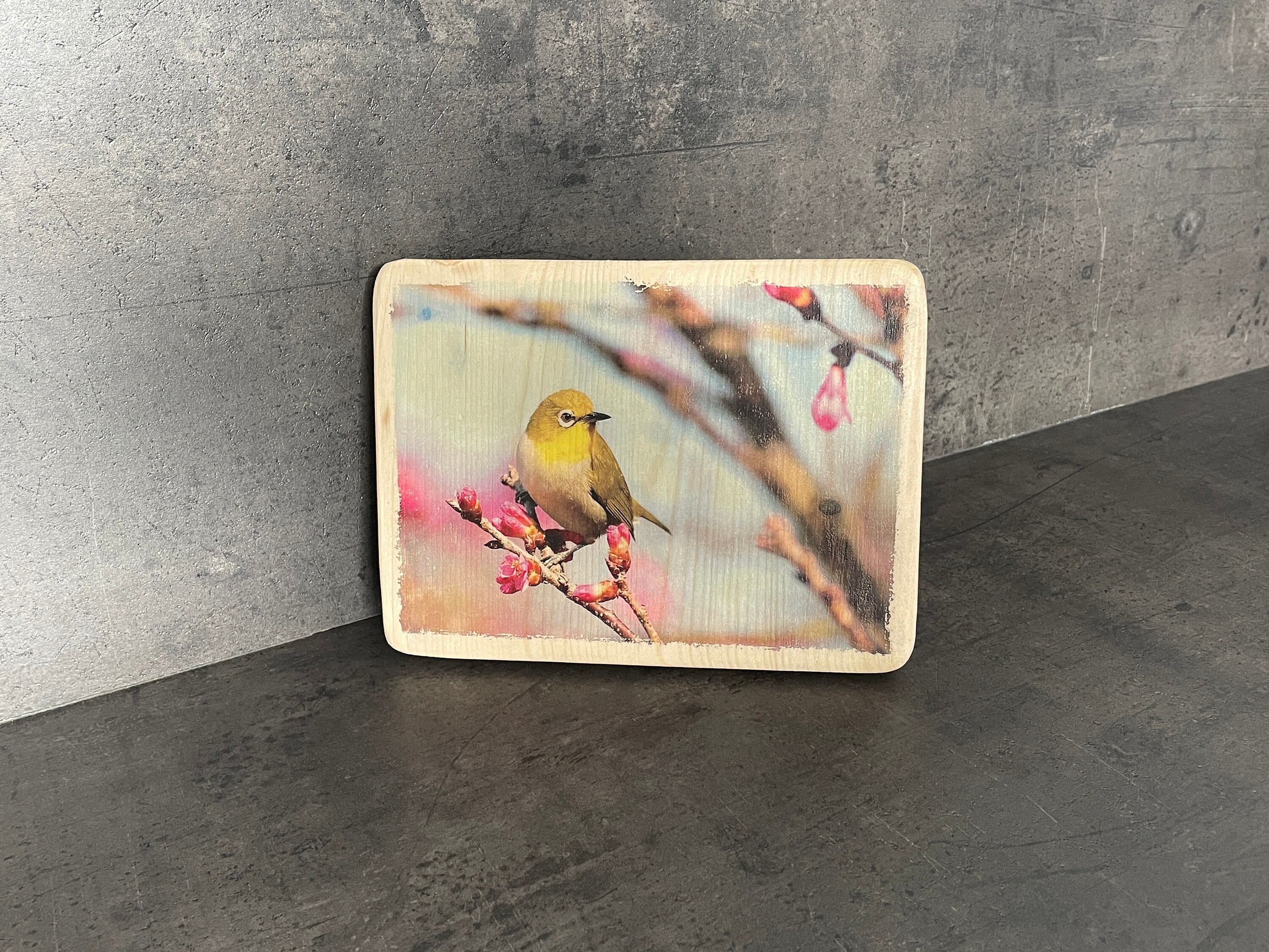 Photo sur Bois Déco - Petit Oiseau Jaune Déco Nature