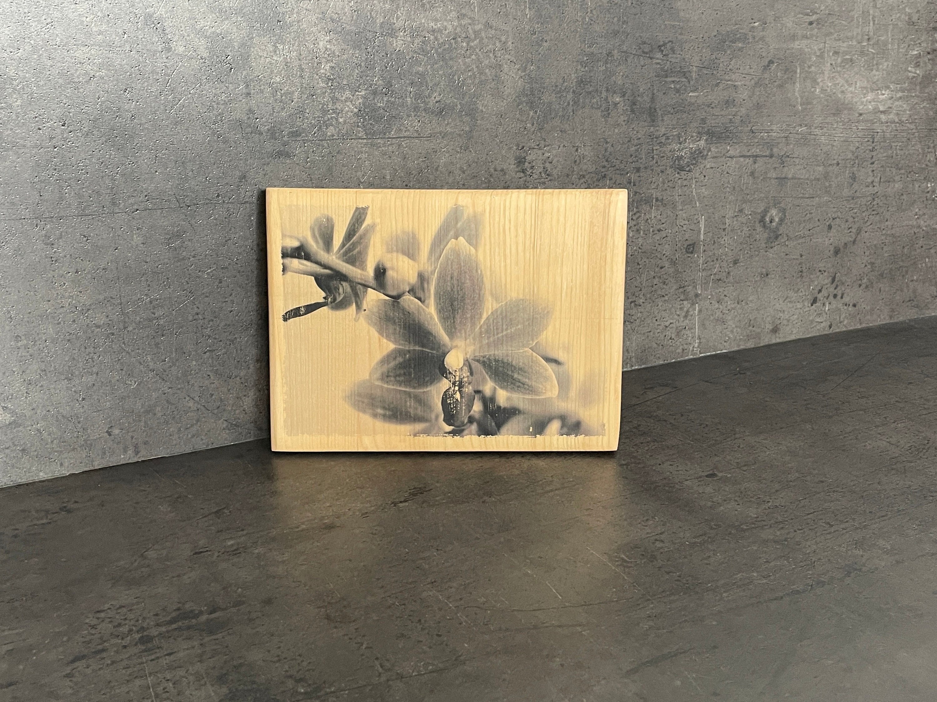 Photo sur Bois Artisanale - Orchidées Déco Fleurs