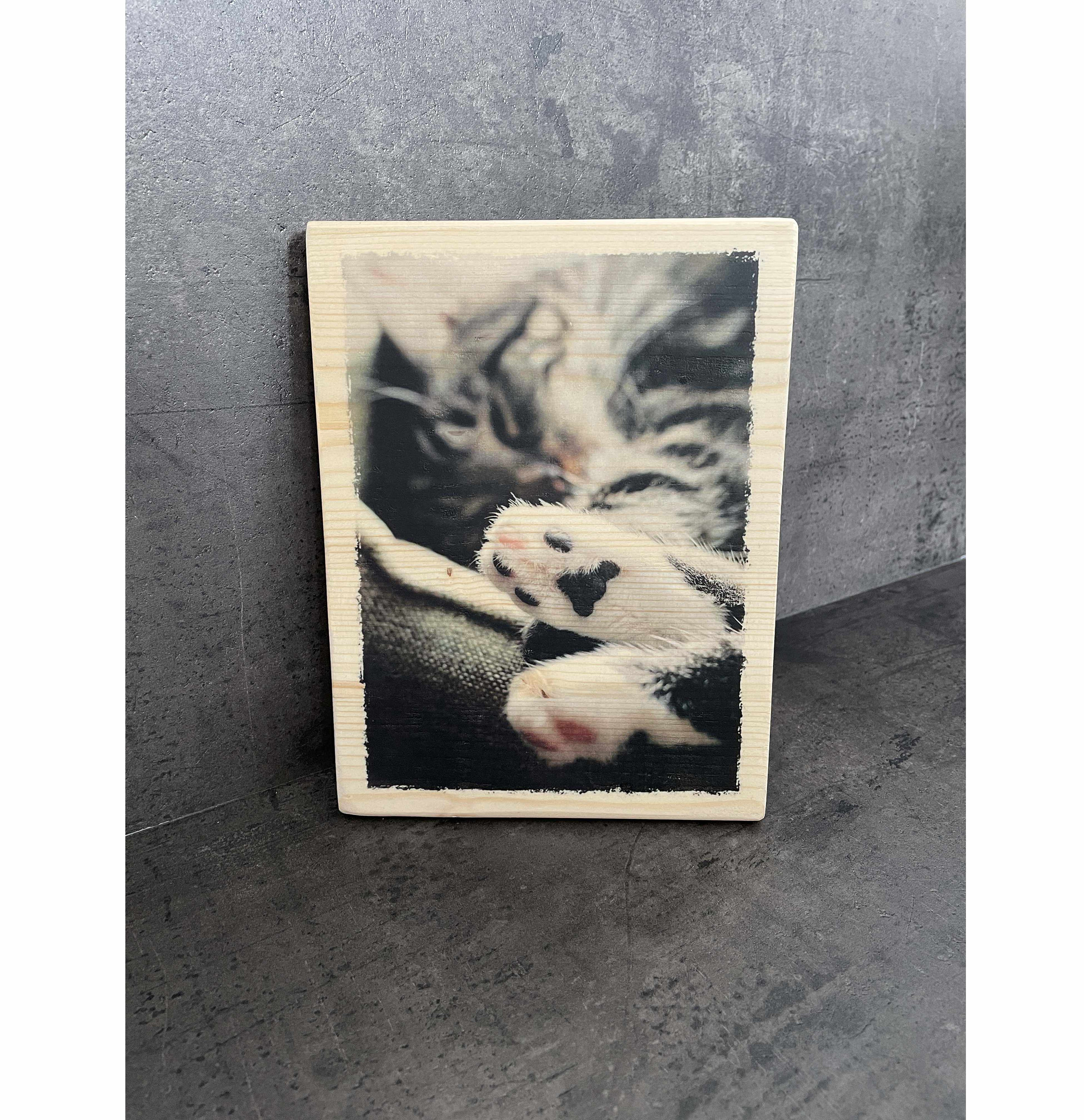 Photo sur Bois Déco - Pattes de Chat Idée Cadeau Cadeau Déco